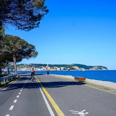 Sunny Days * Koper