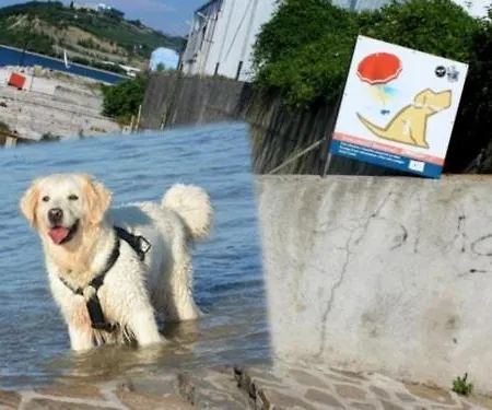 Apartmán Sunny Days