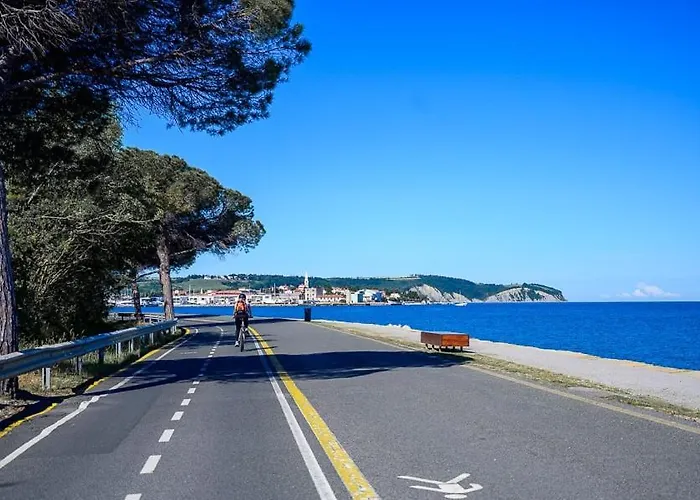 Sunny Days * コペル