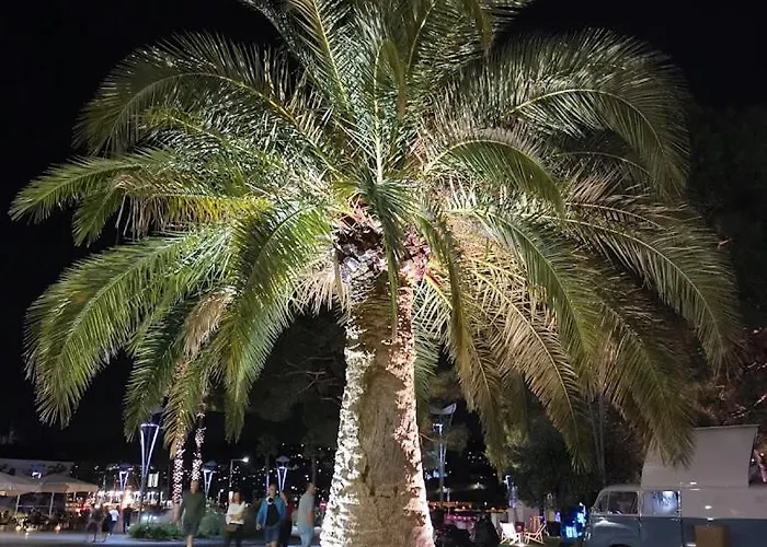 Sunny Days アパート *